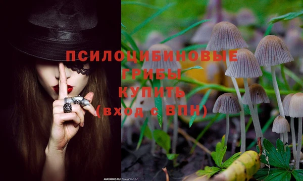 mdpv Белоозёрский