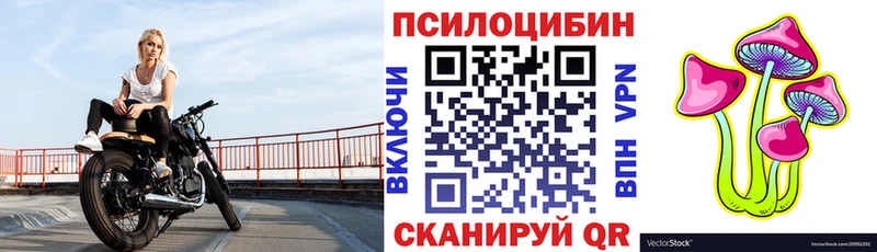 Галлюциногенные грибы GOLDEN TEACHER  продажа наркотиков  omg ссылка  Коммунар 